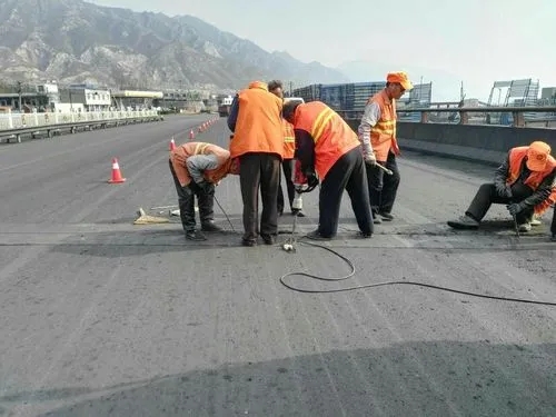 肥乡道路桥梁病害治理